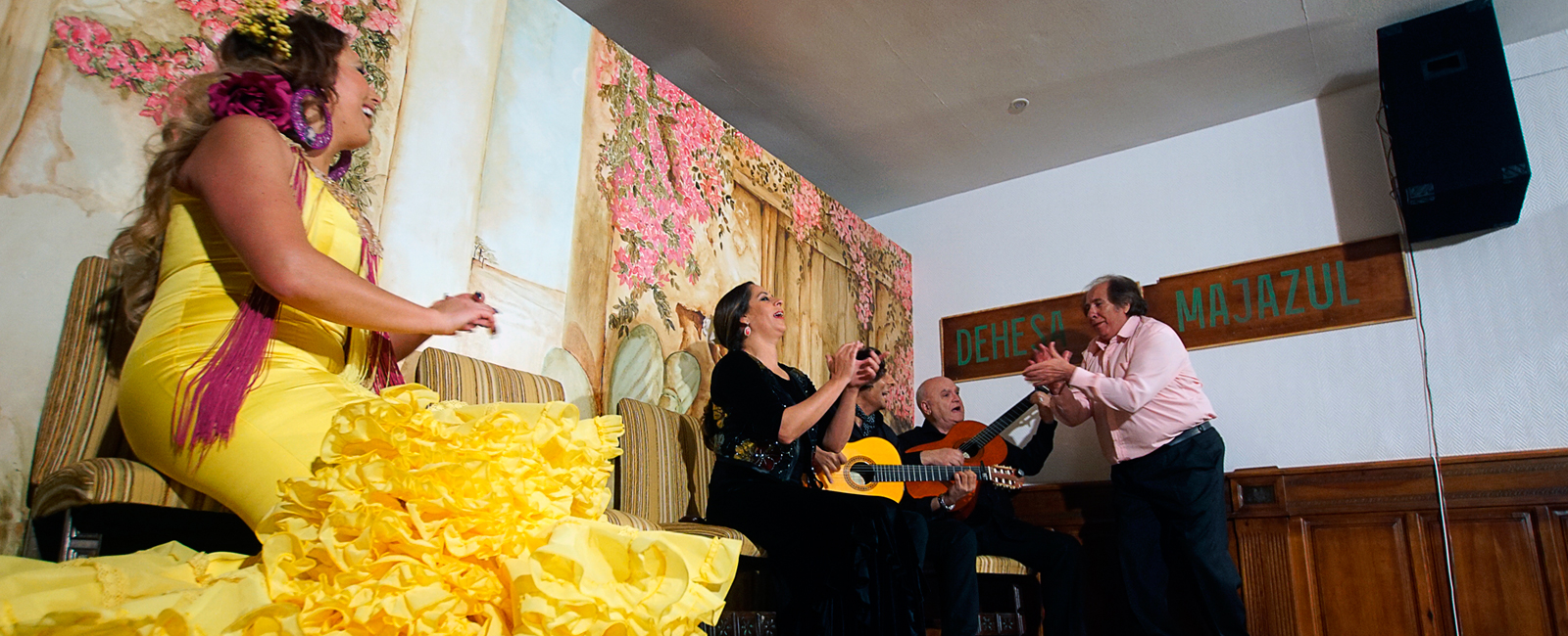 Espectáculo flamenco en Toledo